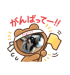 犬のチョコ君2（個別スタンプ：10）
