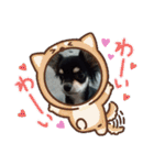 犬のチョコ君2（個別スタンプ：14）
