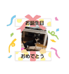 犬のチョコ君2（個別スタンプ：26）