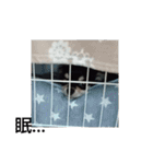 犬のチョコ君2（個別スタンプ：32）