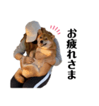 IAM マックス（個別スタンプ：1）