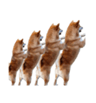IAM マックス（個別スタンプ：7）
