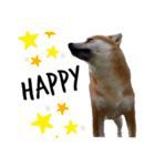 IAM マックス（個別スタンプ：16）