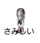 王女モドキ様 スタンプ2（個別スタンプ：4）