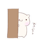 どう見てもねこ（個別スタンプ：37）