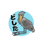 ハシビロコウさんの若者言葉（個別スタンプ：10）