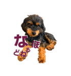 Dog Leo Sticker ver1.0（個別スタンプ：2）