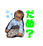 紗仁時々サメ（個別スタンプ：24）
