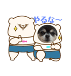 いろんなチワワのリンさん（個別スタンプ：4）