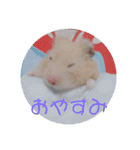 キンクマナイトの日常スタンプ（個別スタンプ：9）