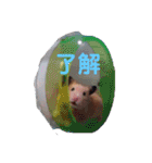 キンクマナイトの日常スタンプ（個別スタンプ：35）