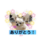 我が家のキュートくん   7（個別スタンプ：13）