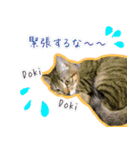ねころぶNo.2（個別スタンプ：1）
