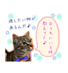ねころぶNo.2（個別スタンプ：3）