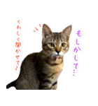 ねころぶNo.2（個別スタンプ：4）