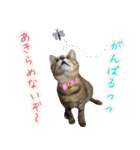ねころぶNo.2（個別スタンプ：5）