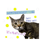 ねころぶNo.2（個別スタンプ：6）