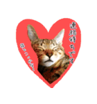ねころぶNo.2（個別スタンプ：7）