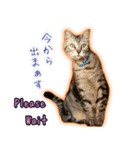 ねころぶNo.2（個別スタンプ：8）