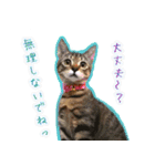 ねころぶNo.2（個別スタンプ：10）