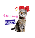 ねころぶNo.2（個別スタンプ：11）