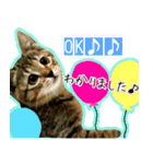 ねころぶNo.2（個別スタンプ：12）