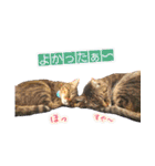 ねころぶNo.2（個別スタンプ：13）