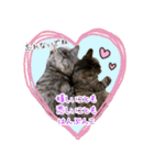 ねころぶNo.2（個別スタンプ：14）