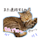 ねころぶNo.2（個別スタンプ：15）
