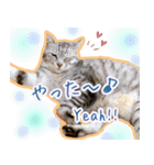 ねころぶNo.2（個別スタンプ：16）