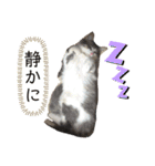 可愛いリリースタンプ 2（個別スタンプ：9）