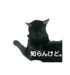 東うに2（個別スタンプ：1）