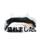 東うに2（個別スタンプ：4）