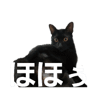 東うに2（個別スタンプ：5）