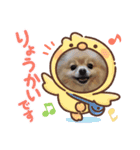 ポメラニアン☆レイン②（個別スタンプ：9）