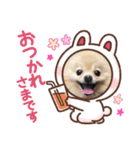 ポメラニアン☆レイン②（個別スタンプ：10）
