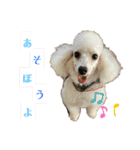 えとうけのいぬたち（個別スタンプ：14）