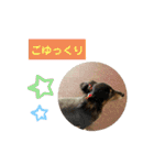えとうけのいぬたち（個別スタンプ：26）