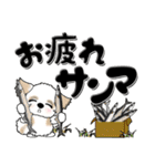 シーズー犬『秋』45（個別スタンプ：20）