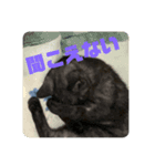 ゆかいな仲間たち(アグルム、メルム、福丸)（個別スタンプ：14）
