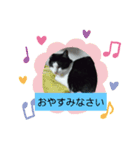 仲良しキャットファミリー16（個別スタンプ：4）