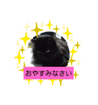 仲良しキャットファミリー16（個別スタンプ：5）