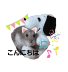 はむちゃんかわいいスタンプ 4（個別スタンプ：3）