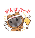 はむちゃんかわいいスタンプ 4（個別スタンプ：9）