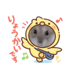 はむちゃんかわいいスタンプ 4（個別スタンプ：13）