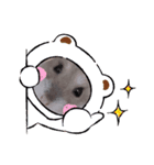 はむちゃんかわいいスタンプ 4（個別スタンプ：14）