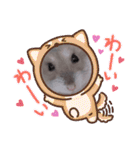 はむちゃんかわいいスタンプ 4（個別スタンプ：17）