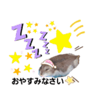 はむちゃんかわいいスタンプ 4（個別スタンプ：18）