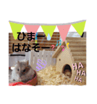 はむちゃんかわいいスタンプ 4（個別スタンプ：26）
