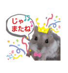 はむちゃんかわいいスタンプ 4（個別スタンプ：27）